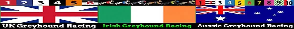 Greyhound racing tips today